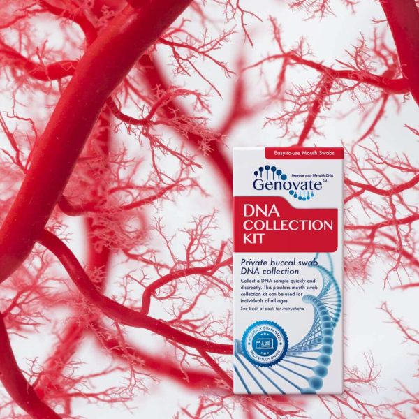 DNA cardiovascular risk ApoE test kit image